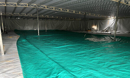 Treated Water Tank Rejuvenation